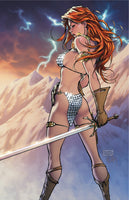 Sonja Reborn #1 Turner Variant